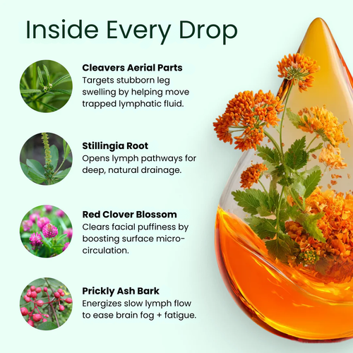 Lymphatic Drainage