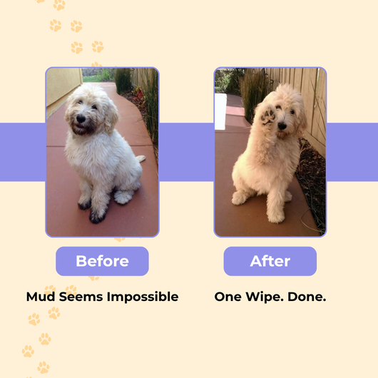 Deodorizing Pet Glove Wipes