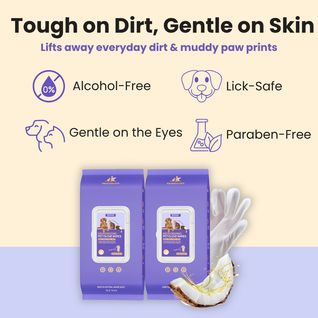Deodorizing Pet Glove Wipes