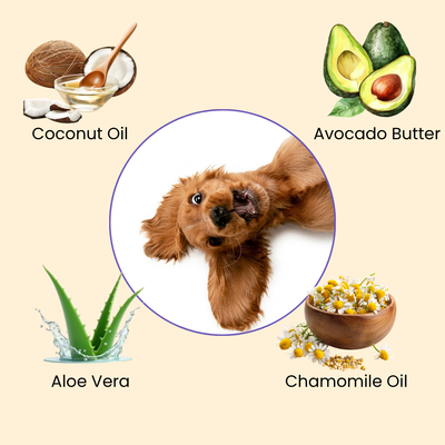 Deodorizing Pet Glove Wipes