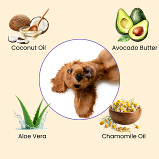 Deodorizing Pet Glove Wipes
