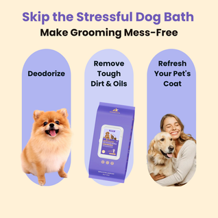 Deodorizing Pet Glove Wipes