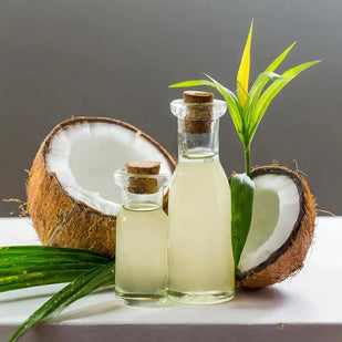 Fermented Coconut Oil